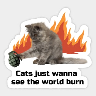 Cat with a grenade Sticker